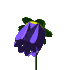 bblue.gif