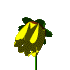 byellow.gif