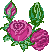 roseopen.gif